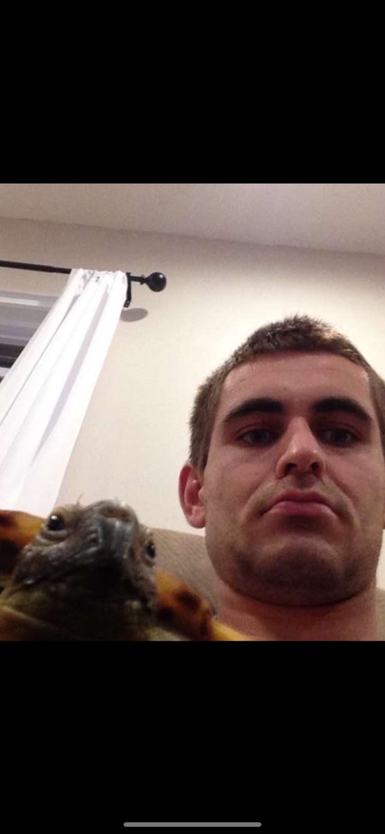 Andrew Morrison tweet media