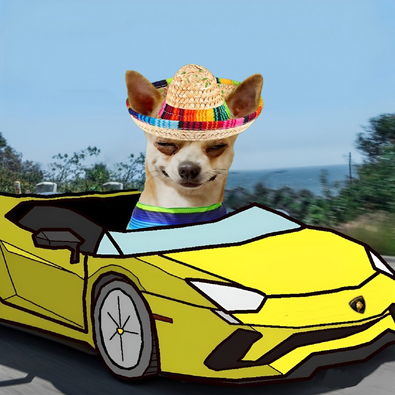 WHO KNEW THAT A #SOMBRERO &amp; LAMBO WOULD LOOK SO GOOD TOGETHER 😍