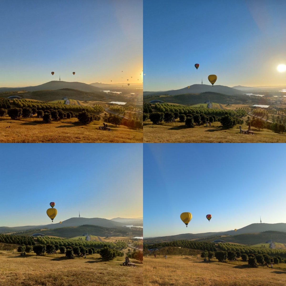 More balloons at the Arboretum #BalloonSpectacular #VisitCanberra