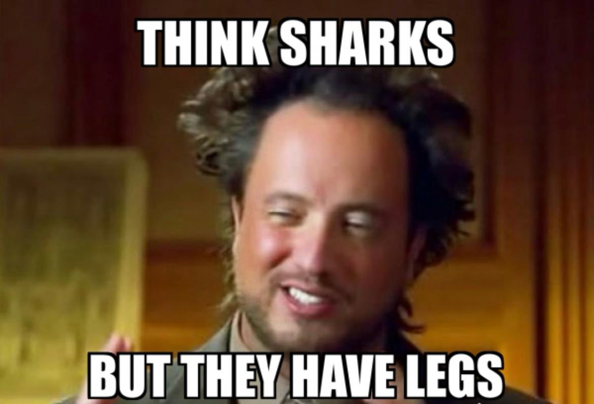 Pavement Shark tweet media