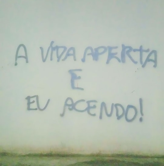 Chapo Do Chong (@chapodochong) on Twitter photo 