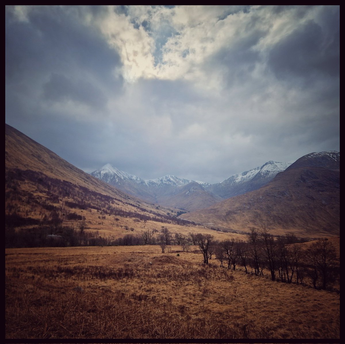 Close, but no cigar! Ben Starav in Glen Etive was the objective. However, the strengthening sustained  windspeeds, severe gusts, and potential for a fall on exposed frozen ground forced me to turn back. #thinkwinter #summitsafely 💨❄️⚠️