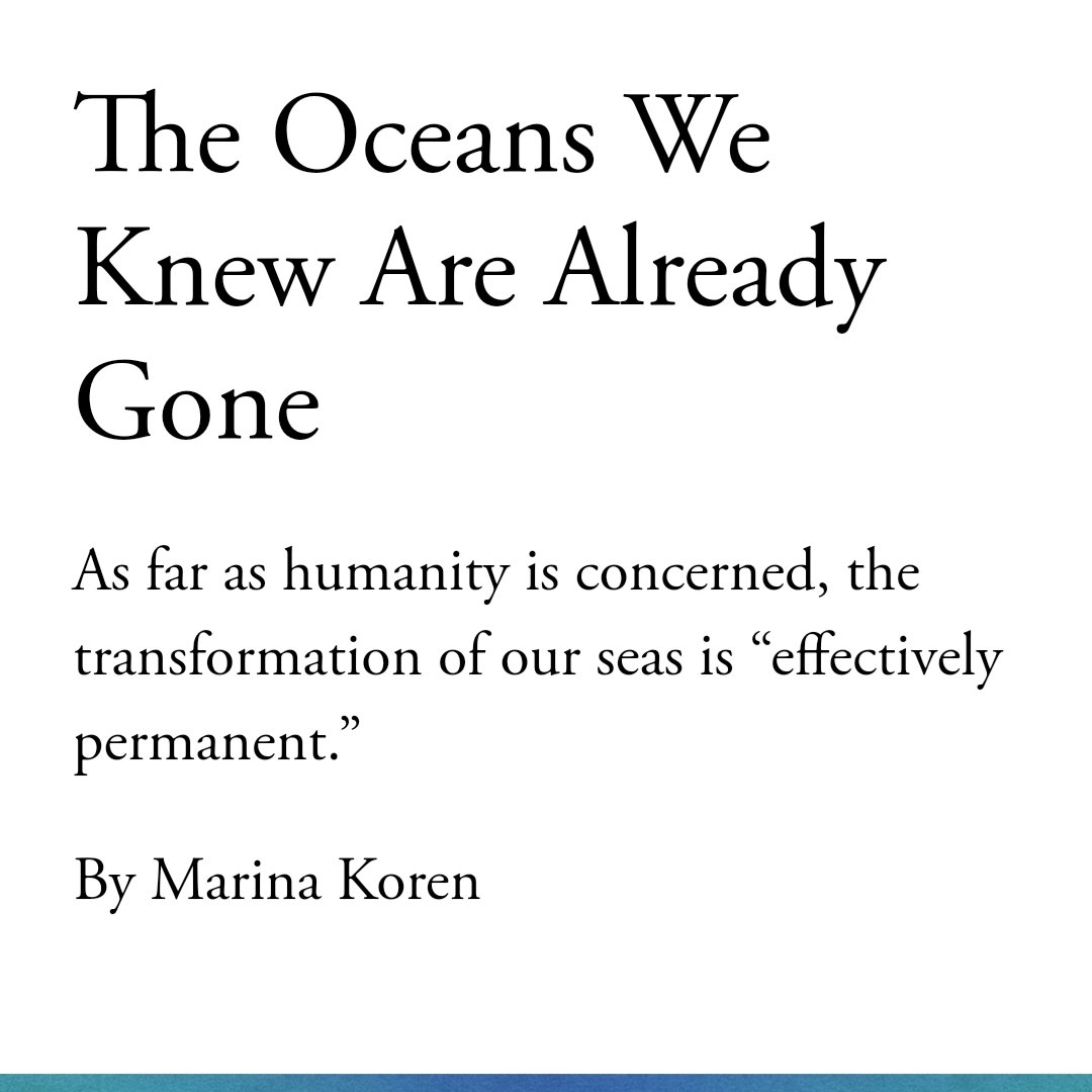 Dos noticias juntas se entienden mejor.

Los océanos que conocíamos ya no existen.

El océano en Canarias ya está a 21,5 ° C, la temperatura prevista para finales de siglo.

Pero no hables de esto mucho, que desmoviliza. Seguro que la tecnología y el capitalismo lo solucionan. ⏳
