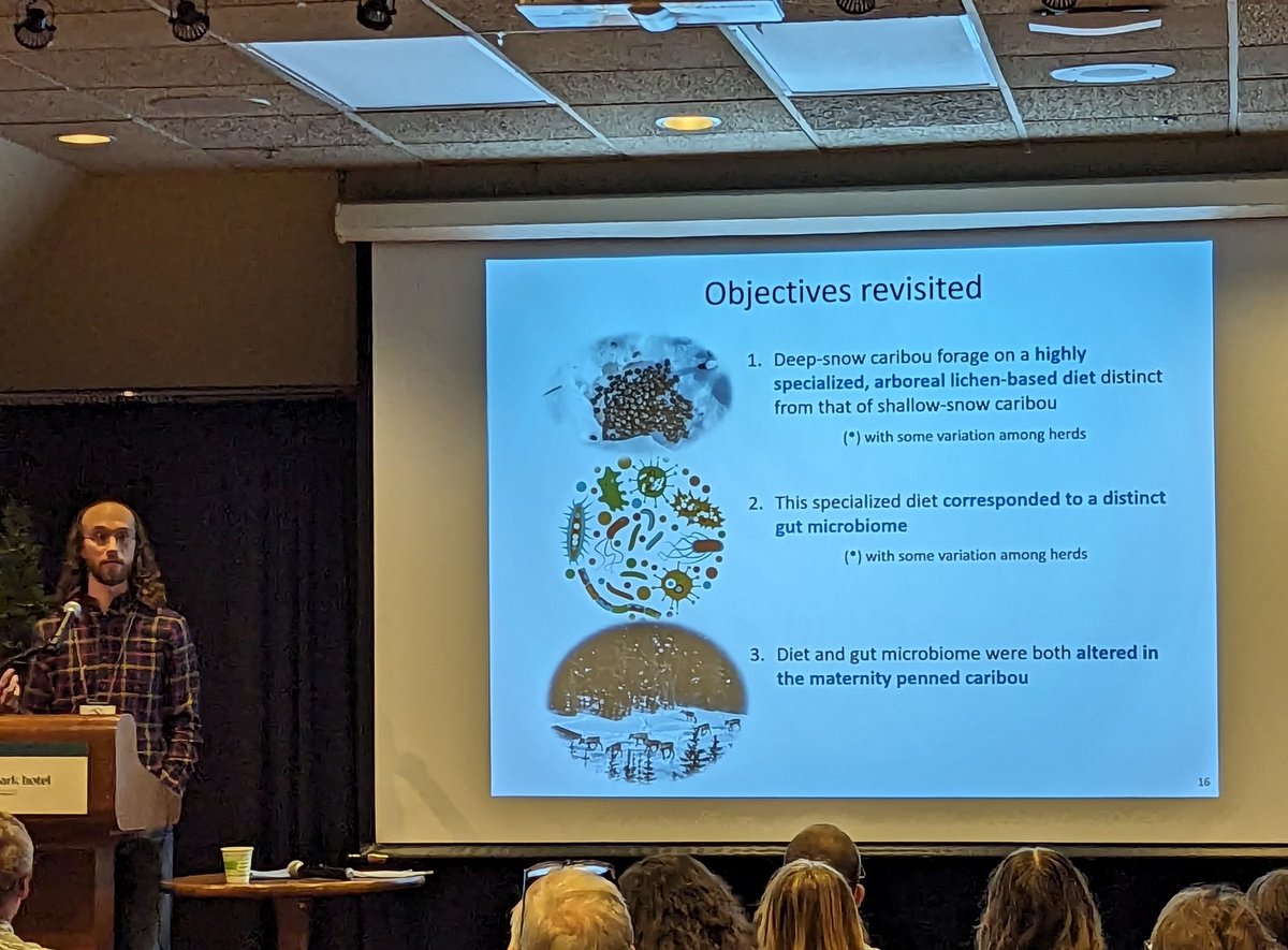 Kate Broadley (@kate_sciart) on Twitter photo Interesting findings on the gut microbiome of #WoodlandCaribou presented by Scott Sudgen at <a href="/theACTWS/">AB Wildlife Society</a> conference. Change in diet during maternal penning leads to shift in gut microbes Interesting findings on the gut microbiome of #WoodlandCaribou presented by Scott Sudgen at <a href="/theACTWS/">AB Wildlife Society</a> conference. Change in diet during maternal penning leads to shift in gut microbes