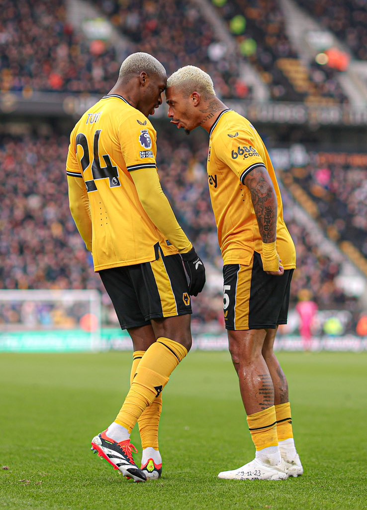 Toti Gomes 💫 tweet media