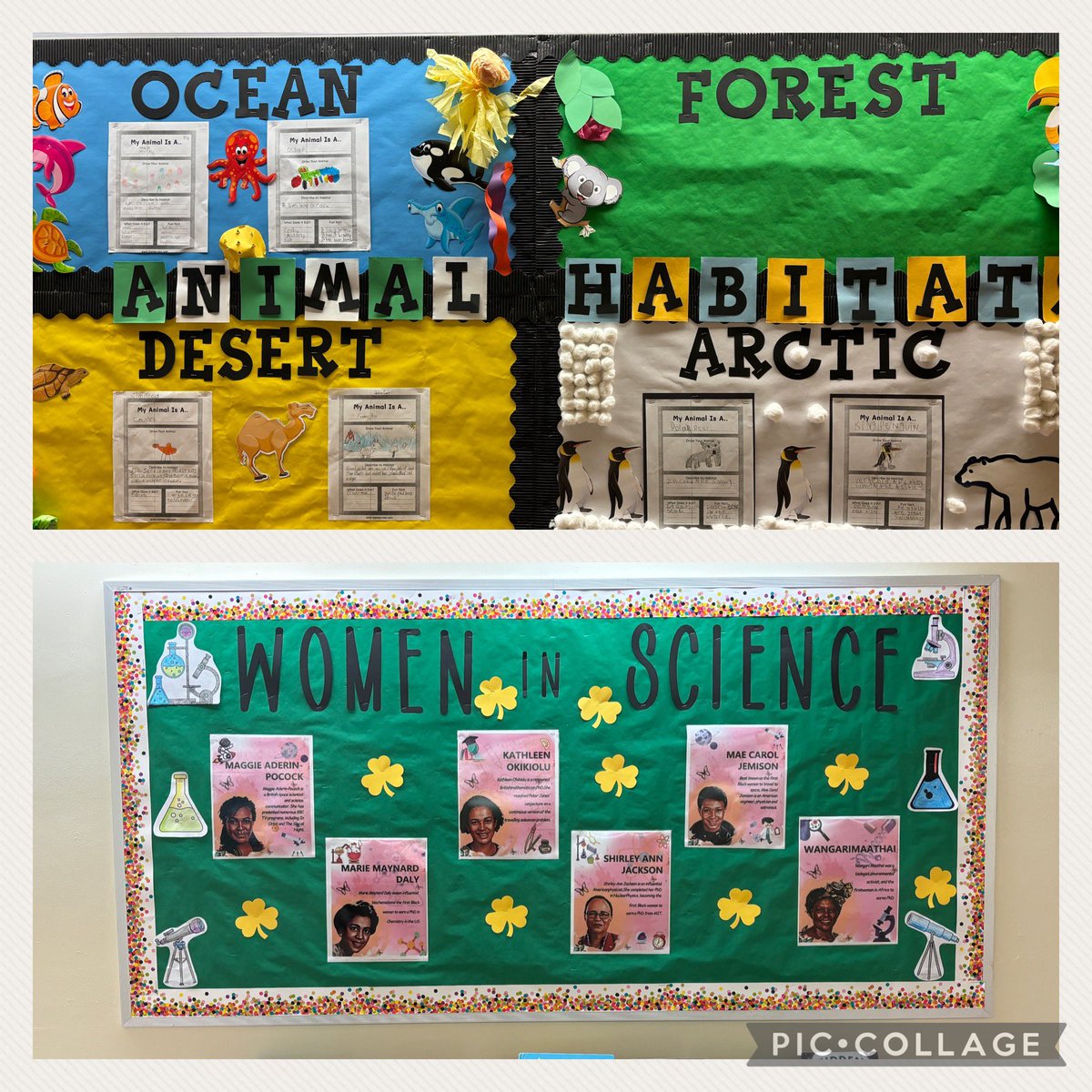 Science March Madness @RPEMuseummagnet this week involved classroom experiments, Vocabulary Dress Day, Hallway Trivia, and every class had a science themed bulletin board. Who says Science isn’t fun? @RPE_AP @bcpsstem @BcpsCentral_ @teach_n_sneaks