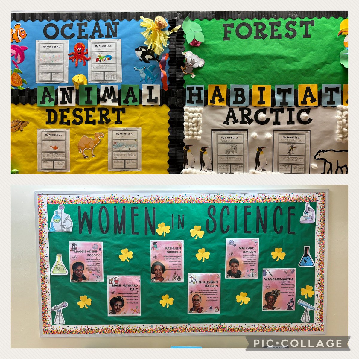 Science March Madness <a href="/RPEMuseummagnet/">Royal Palm STEM Museum Magnet School</a> this week involved classroom experiments, Vocabulary Dress Day, Hallway Trivia, and every class had a science themed bulletin board. Who says Science isn’t fun? <a href="/RPE_AP/">Shayla Dekle</a> <a href="/bcpsstem/">BCPS STEM</a> @BcpsCentral_ <a href="/teach_n_sneaks/">Teach_N_Sneaks</a>