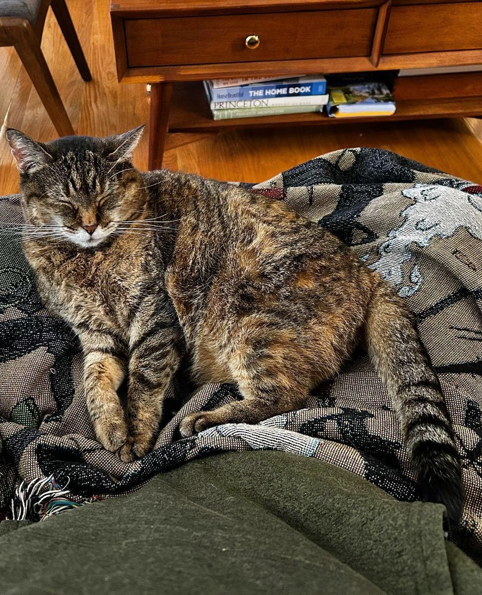 Kitfox Design Group tweet media