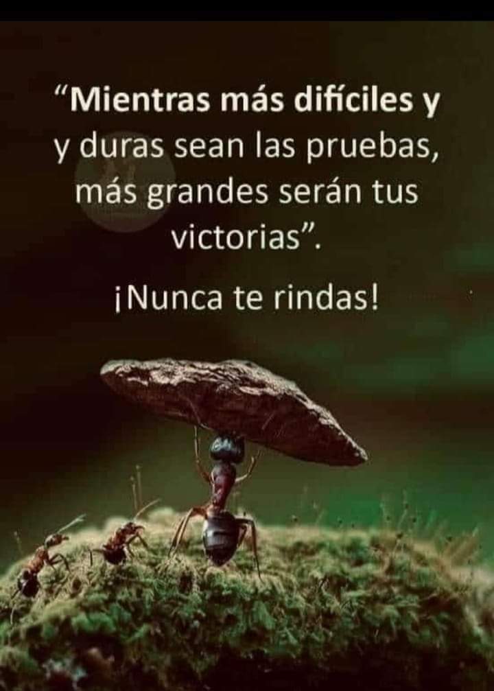 Olivia Badillo (@badillo_olivia) on Twitter photo 