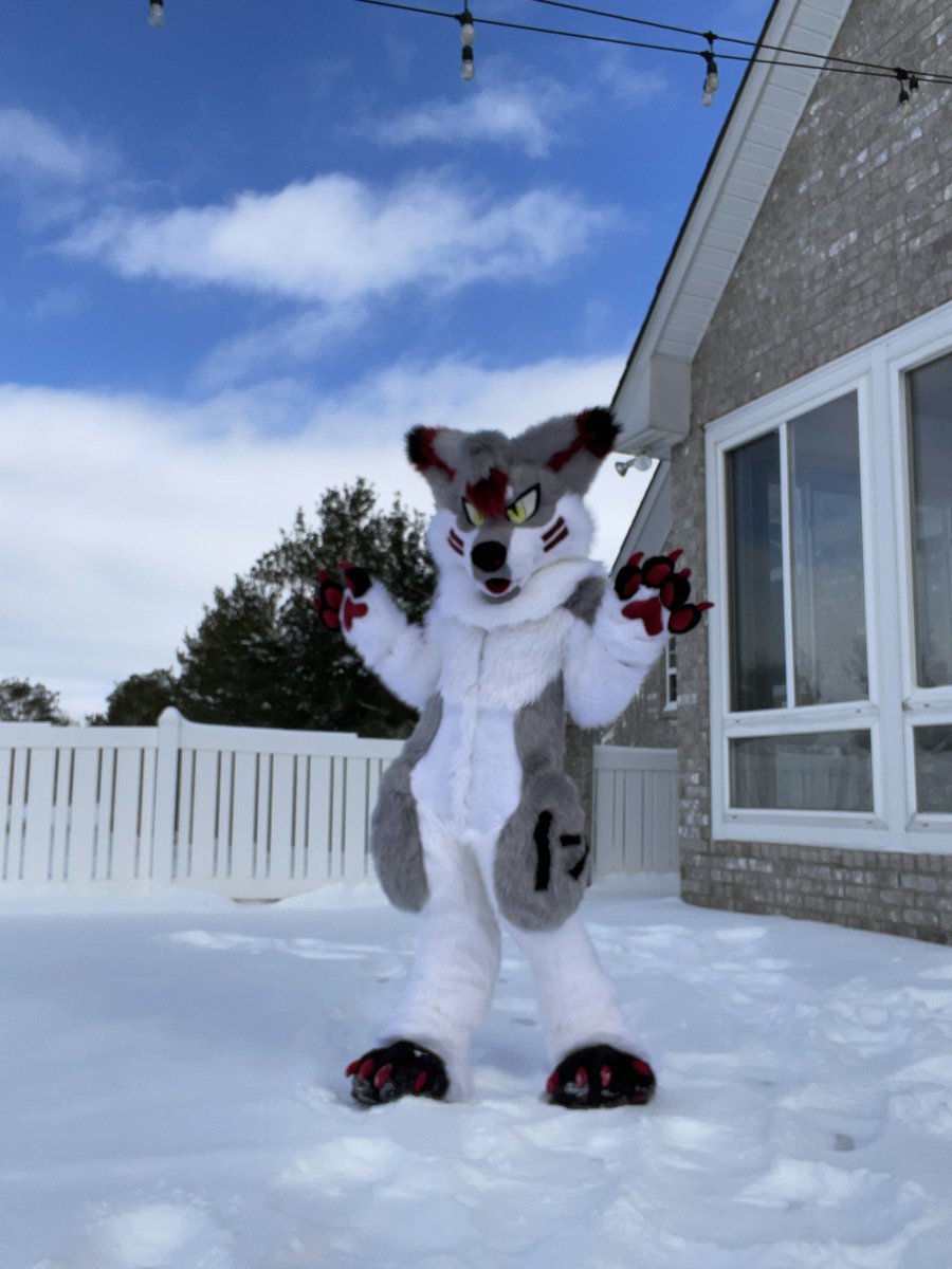 Top Dafloof - MFF 2025 tweet media