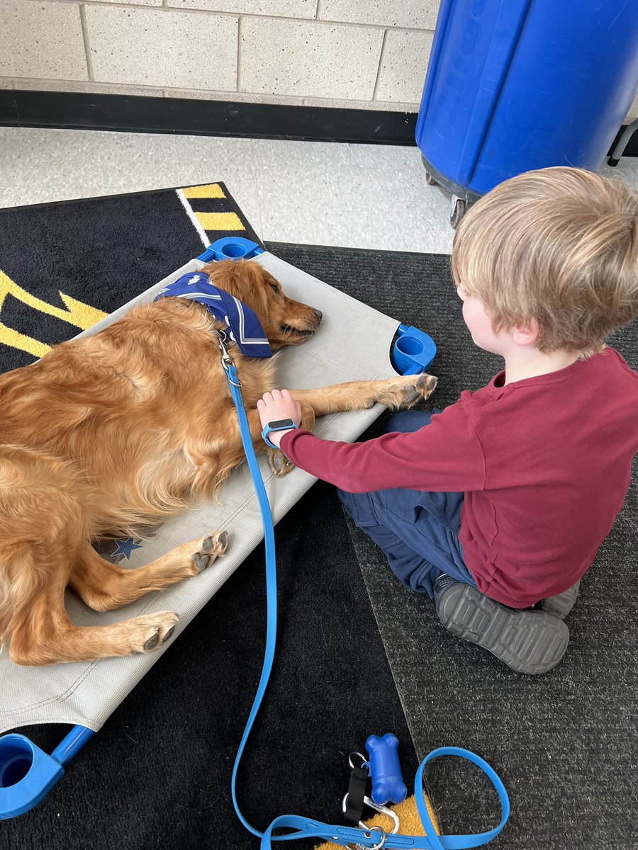 MrskatieMatt's tweet photo. @ipsd204 We had lots of fun today! Dog Training Elite loves supporting the community and all the puppy snuggles! https://t.co/7LXwnLPgrC