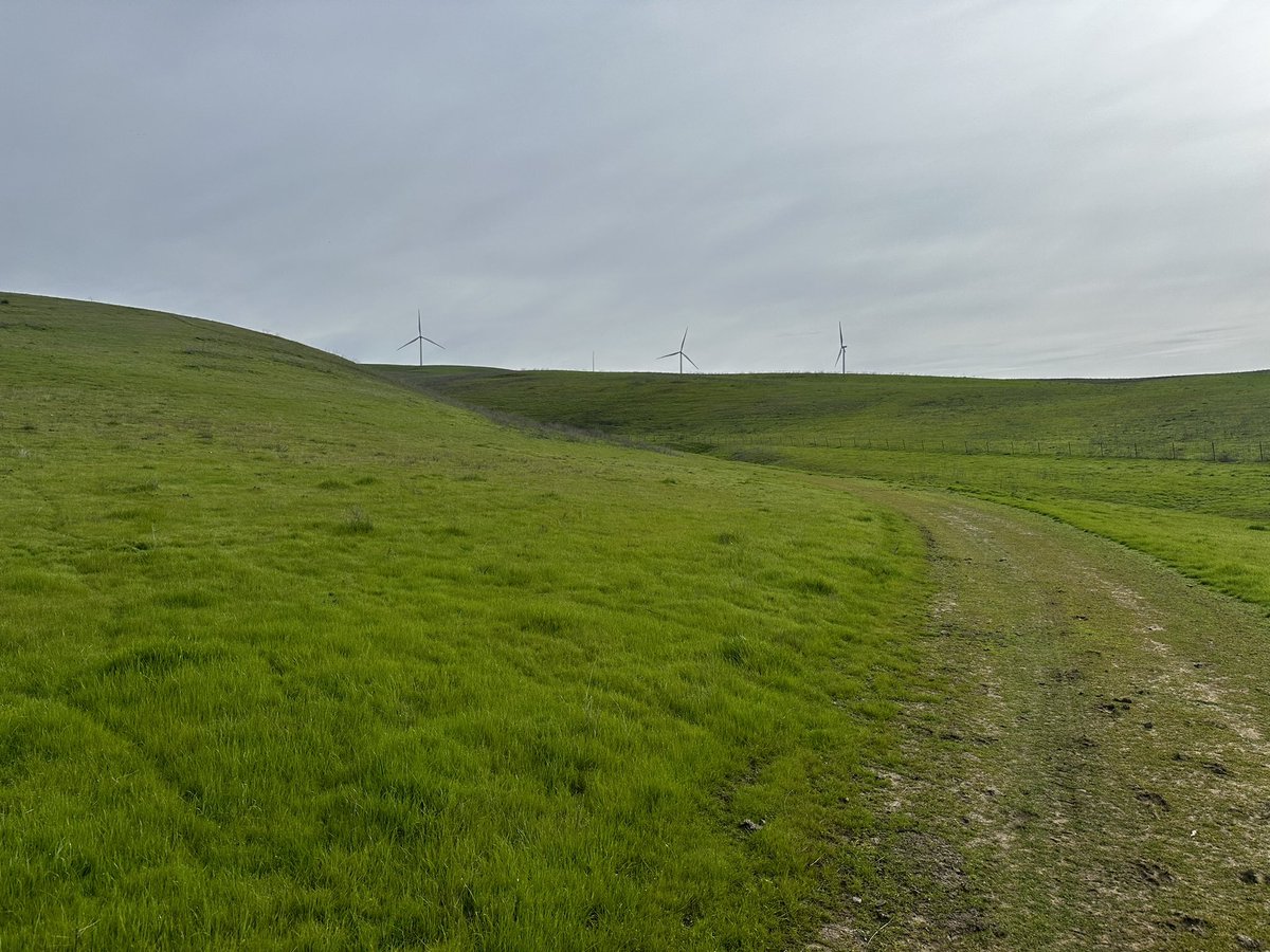 Dr. Linnea K. Hernandez tweet media