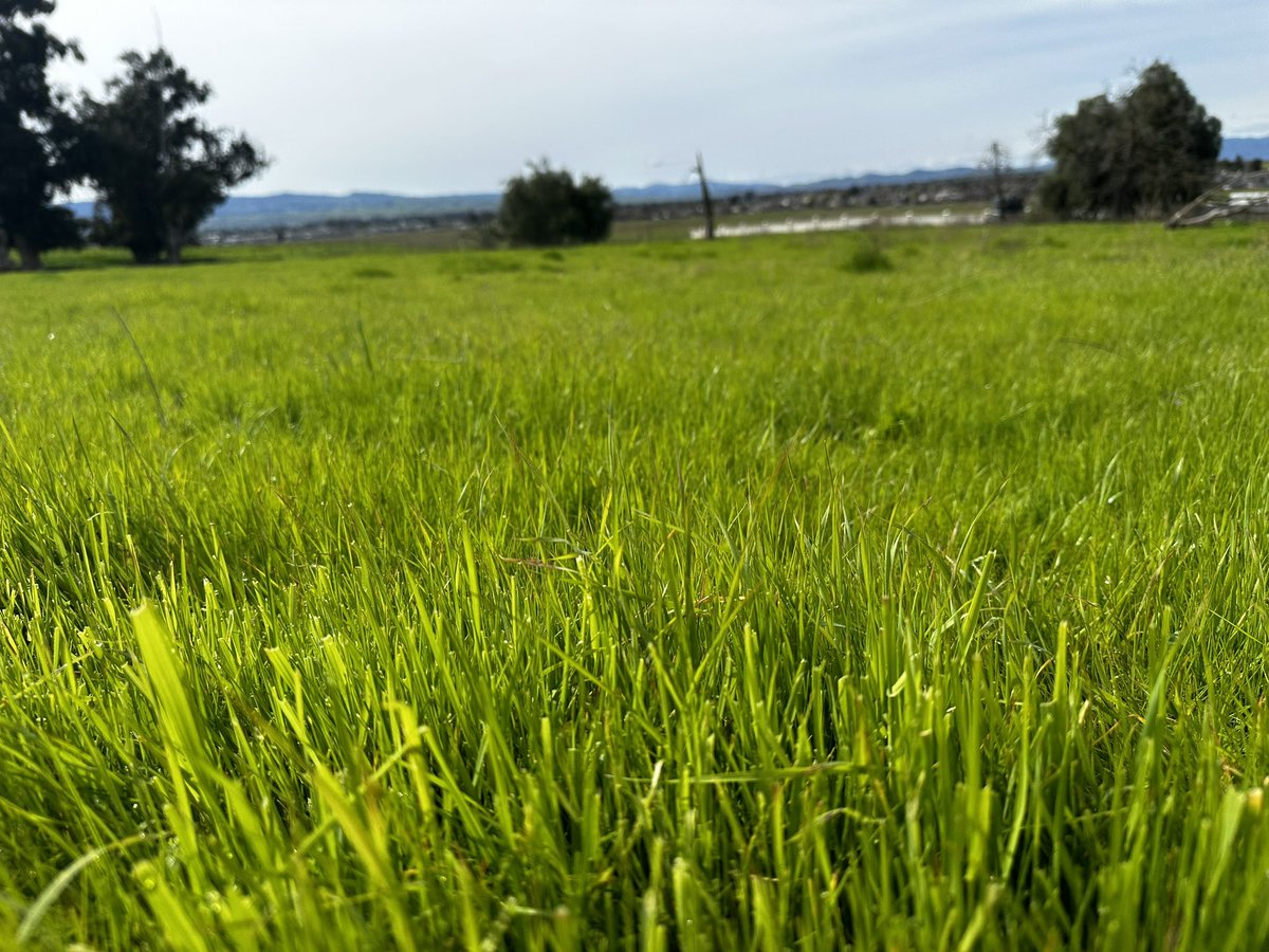 Dr. Linnea K. Hernandez tweet media