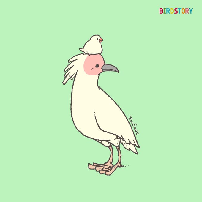 「BIRDSTORY」 illustration images(Latest))