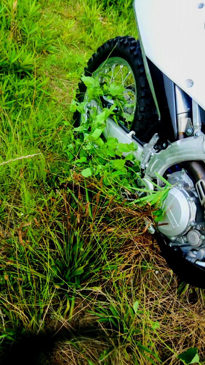 #緑の中に佇むオートバイを貼れ
#YZ450F
#ウッズラン愛好家
草むらのバッタみたい