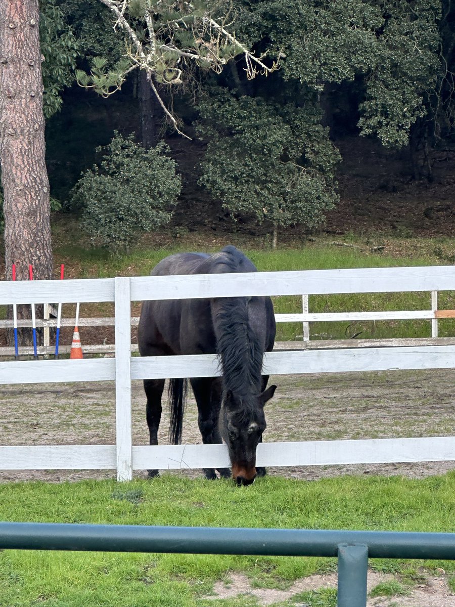 Sometimes, the grass actually is greener on the other side!