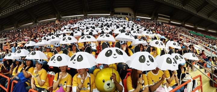 Knp_TCbear's tweet photo. ความทรงจำแชร์มาเลยคิดถึง
เมื่อบรรดาลูกหมีออกจากป่าไผ่ ไปเที่ยวราชมัง โปรเจคพาแม่ไปเชียร์พ่อจึงเกิด
ที่มาของคำว่า หมีมันบ้าจึง คิดถึงเนอะกี่ปีแล้วนี่ เหนื่อยนะแต่โคตรมีความสุข ตั้งแต่ตี4ถึงเที่ยงคืน เตรียมงานเป็นเดือนเนอะ ใครอยู่ในนี้บ้างยกมือ #เต้ยเชียร์ #TCเต้ยเชียร์ https://t.co/qkd1k4JKMU