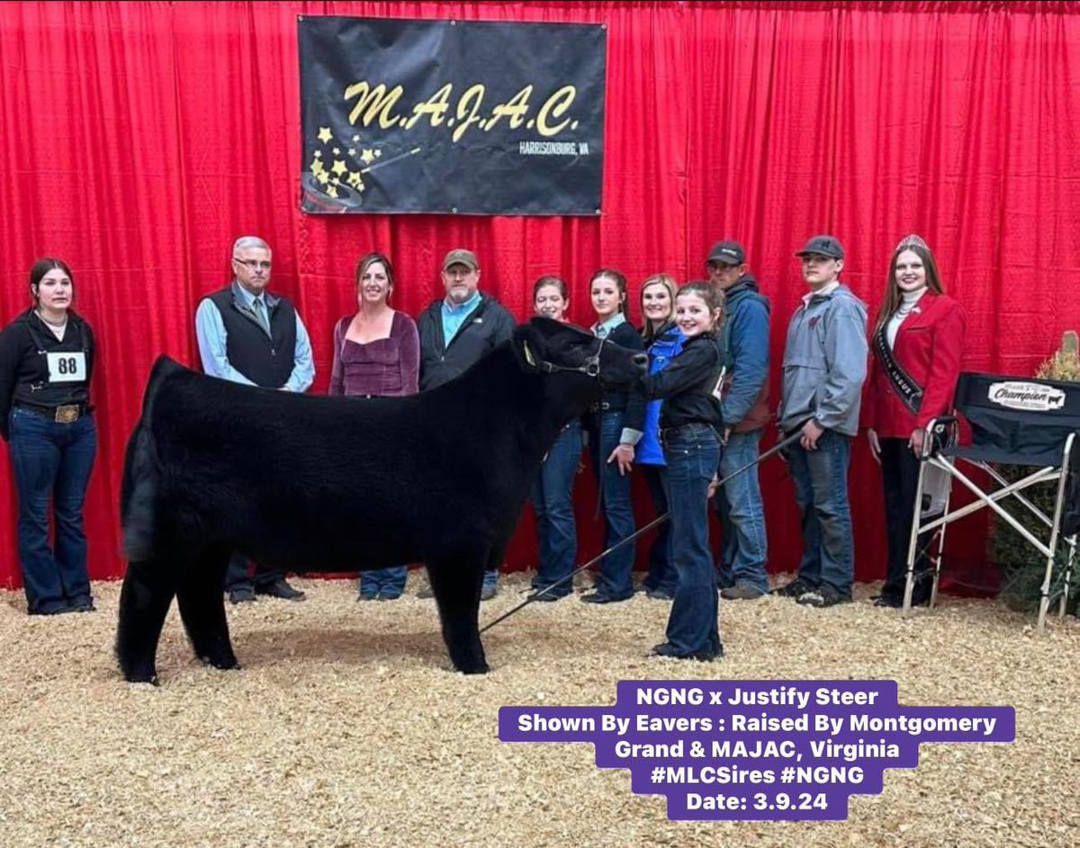 mattlautner's tweet photo. #MAJAC #Virginia
Grand Champion Steer
2024 MAJAC : Virginia
Shown By Mattie Eavers
Raised By Whitney Terrell Montgomery, VA
Sired By No Guts No Glory
#MLCSires #NGNG
🇺🇸
Nationwide Early Bird Special Pricing Thru March 18
-Now Taking Orders For The Ohio Beef Expo At The Matt Lautner Cattle Office
Ohio Beef Expo
*March 14-17
*Genetic Pathway
Website:
https://t.co/dfIjRa234a
Call/Text MLC Office @ 515.391.9540
2024 MLC Sire Catalog:
https://t.co/cRZmTZAB5f
#Shipping #OrderToday #SameDayShippingAvailable
Call/Text Matt Lautner Cattle Office At 515.391.9540 To Order Semen For Shipment Today
#FreeShippingOnOrders #Over650Dollars
#OnlyAtMLC