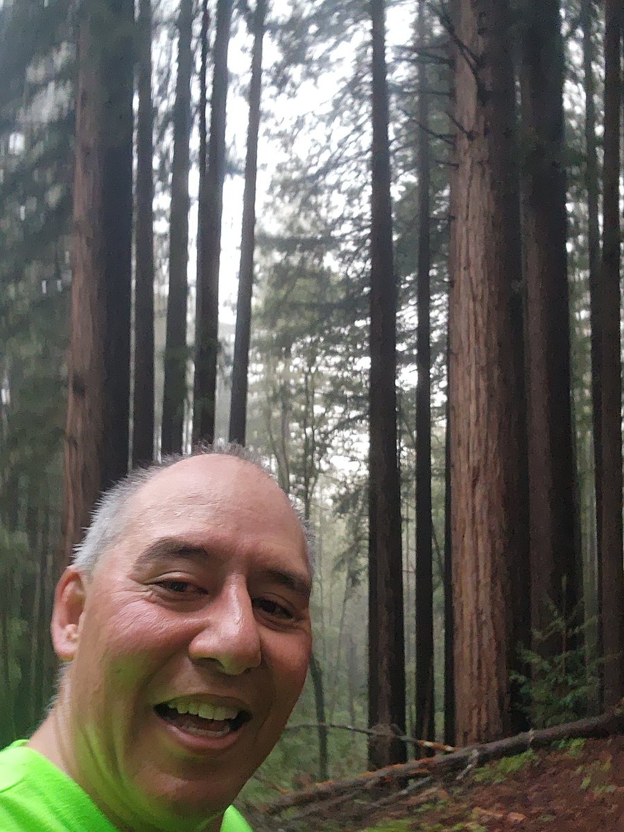 griz1's tweet photo. Last weekend ran to this overlook in #HenryCowellRedwoods @CAStateParks w @mackpurp! Beautiful &amp; green, isn't it @davidjloane? I'm told there are #ghosttrees in this forest, too! @VisitCA @savetheredwoods @santacruz @scsentinel @calparks @drtinamaster @paul_krogstad @CommTrailRun https://t.co/untp7qXVg6