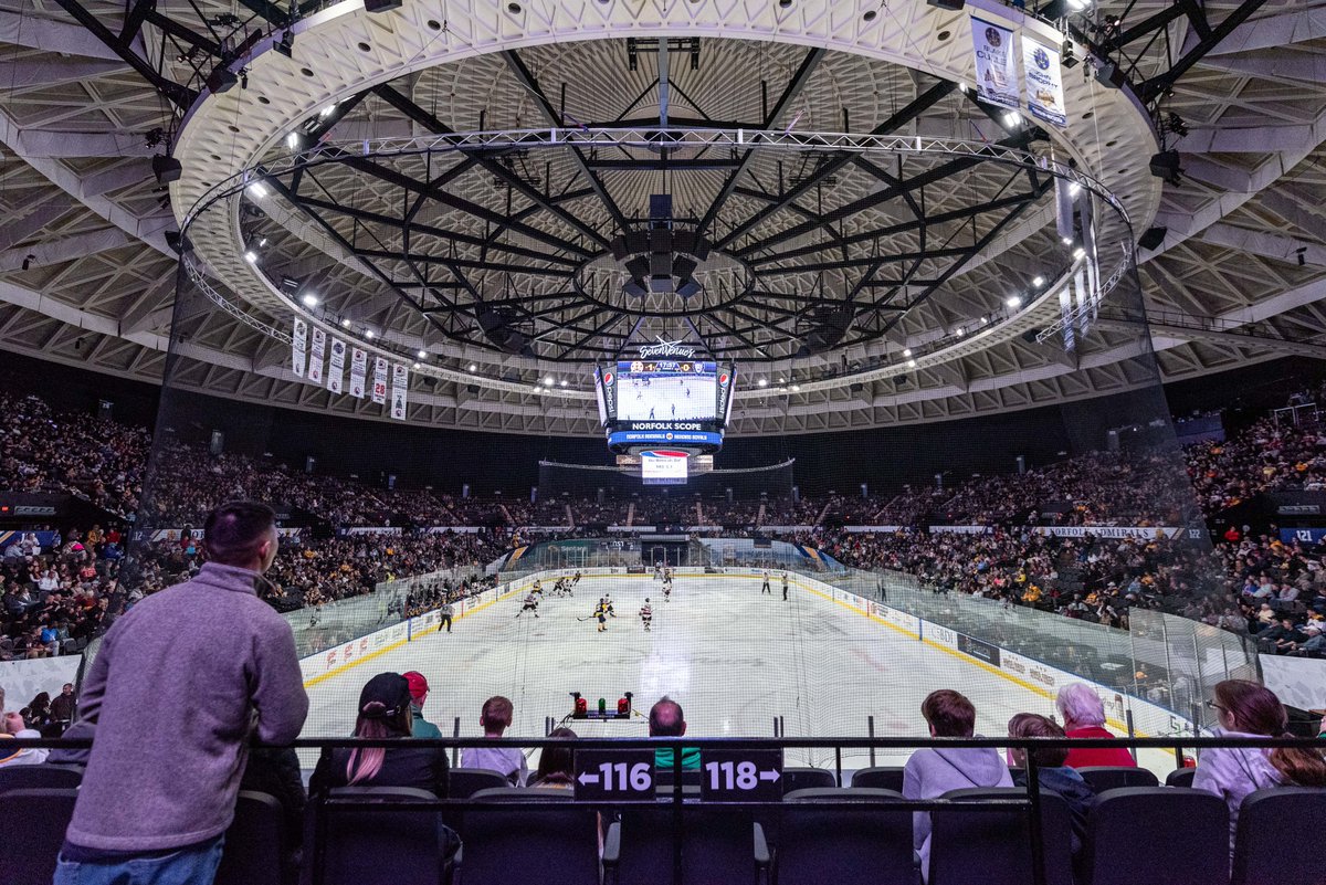 Norfolk Admirals tweet media