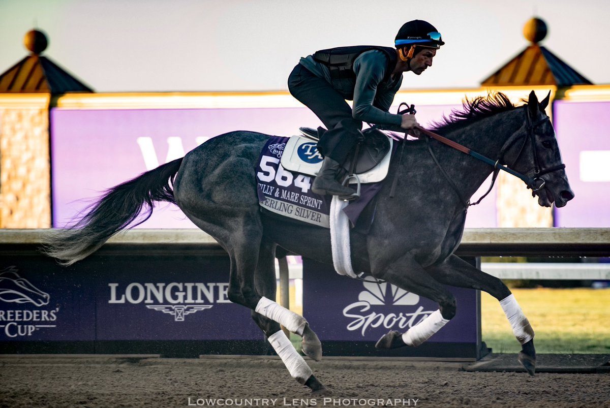 congratulations to the connections of 

Sterling Silver 
(Cupid x Sheet Humor)

her 2024 debut <a href="/TampaBayDownsFL/">Tampa Bay Downs Official Account</a> in a 7 furlong Handicap was a winning one; Jockey <a href="/jjcjockey/">Javier Castellano</a> up for Trainer <a href="/TARacingLLC/">Tom Albertrani</a> and Owner Mark Anderson
