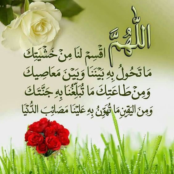 💫 جارة القمر 💫 (@maryamh2211) on Twitter photo 