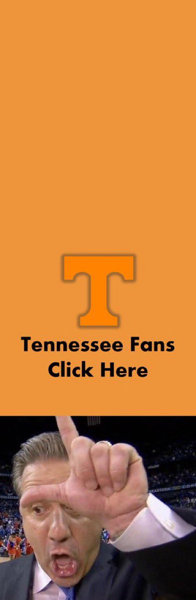 Buddy 🏀😼 tweet media