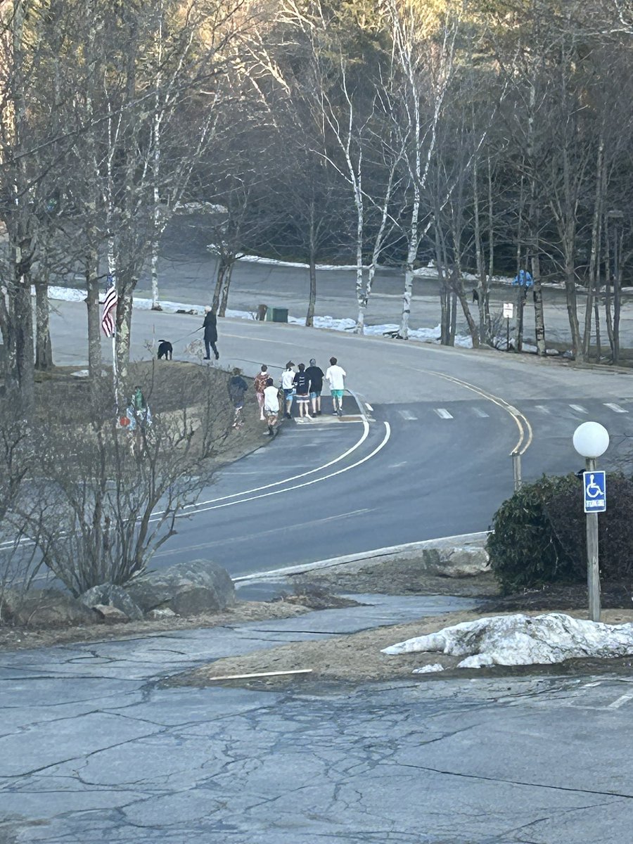 Christina Pedersen tweet media