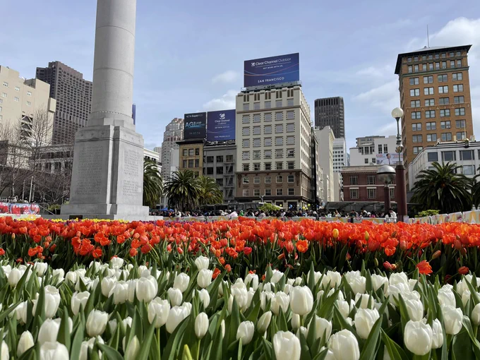 Image from Theo Peters (@NLinSF)