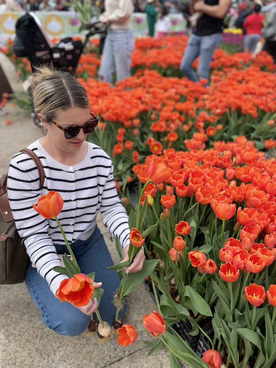 Theo Peters (@nlinsf) on Twitter photo Tulip Day 2024 and San Francisco is in BLOOM🌷
Thank you <a href="/sfgov/">City of San Francisco</a> <a href="/UnionSquareSF/">Union Square, SF</a> <a href="/FlowerbulbsCom/">Flowerbulbs.com</a> for making it happen again. Tulip Day 2024 and San Francisco is in BLOOM🌷
Thank you <a href="/sfgov/">City of San Francisco</a> <a href="/UnionSquareSF/">Union Square, SF</a> <a href="/FlowerbulbsCom/">Flowerbulbs.com</a> for making it happen again.