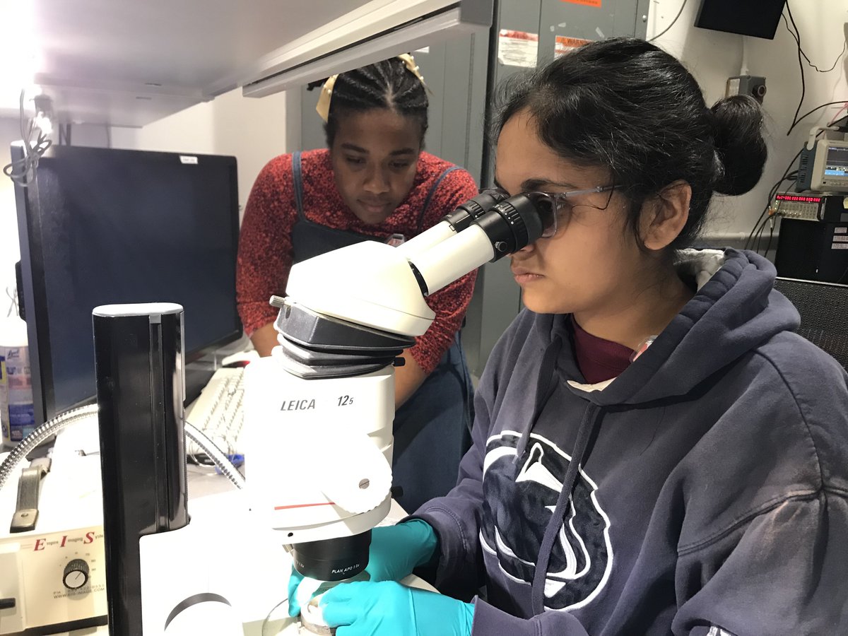 Nozomi Ando tweet media