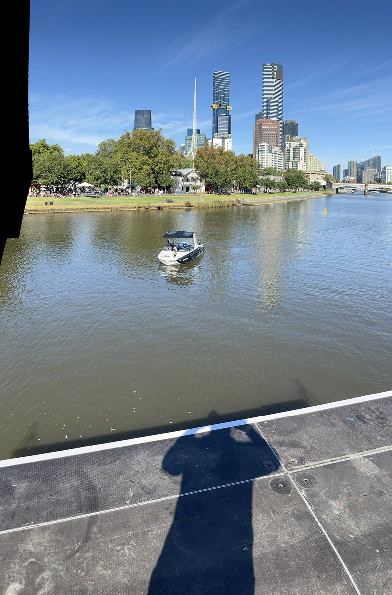 Steph Lysaght tweet media