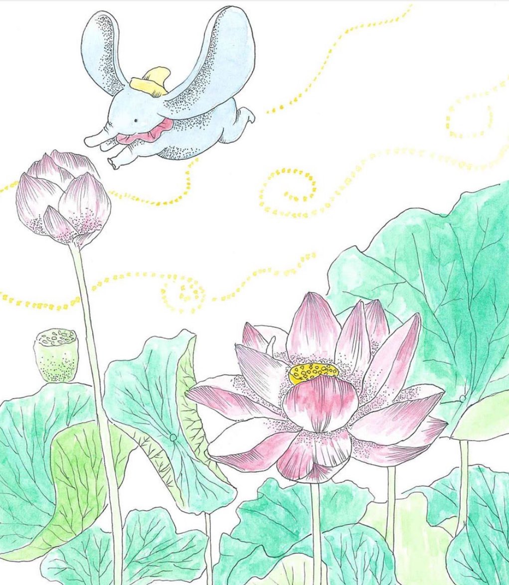 no humans flower hat traditional media lotus pink flower leaf  illustration images