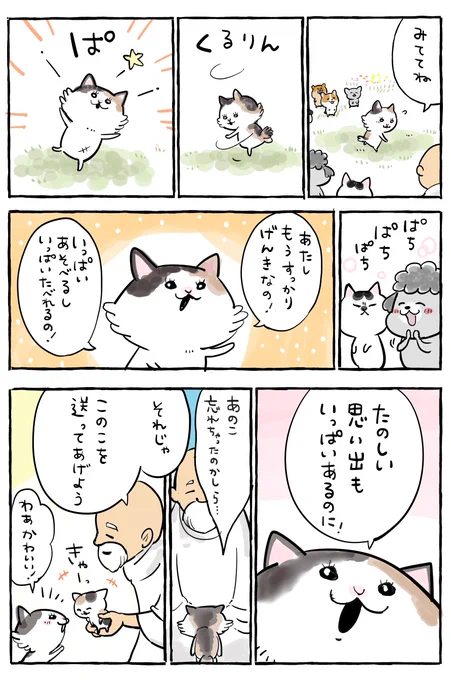 ④ 