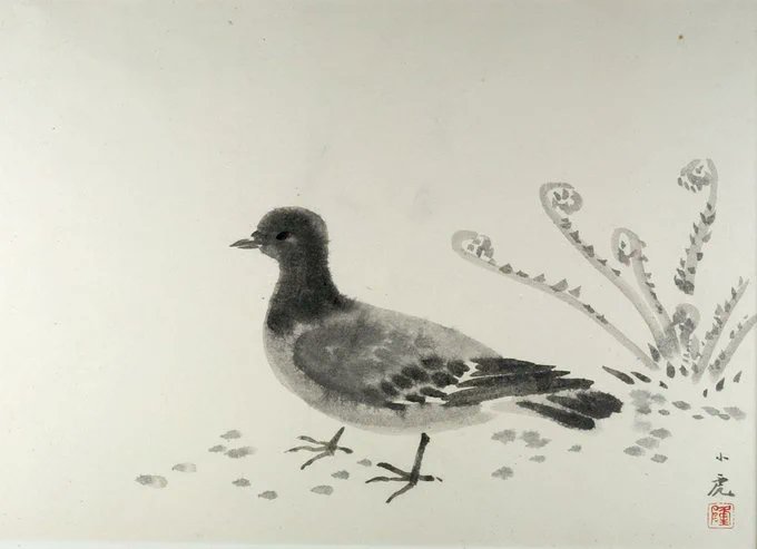 ‘Pigeon’. 
Kawasaki Shōko (Japanese, 1886-1977).  
Album leaf, ink on paper. 
Harvard Art Museums.