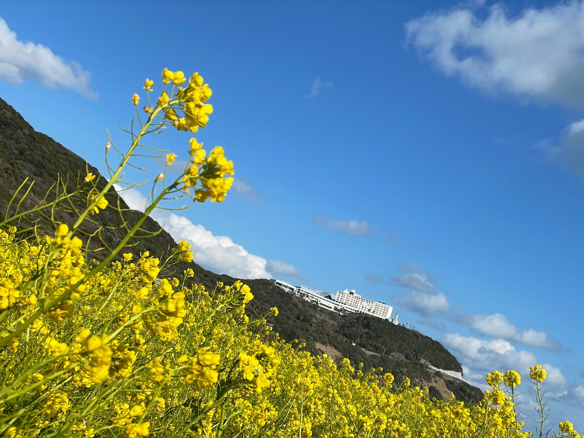 みなさんとっても優しい方々でした。
GBオーナーさんみんな素敵。

前を走るGBを眺めながらミラーに映るたくさんのGBににやにやしながら楽しく走れました‼︎
GBツーリング主催してくださったドリームのスタッフさんに感謝‼︎

#GB350 #GB350S 
#HONDA #ホンダドリーム名古屋守山 #バイクが好きだ