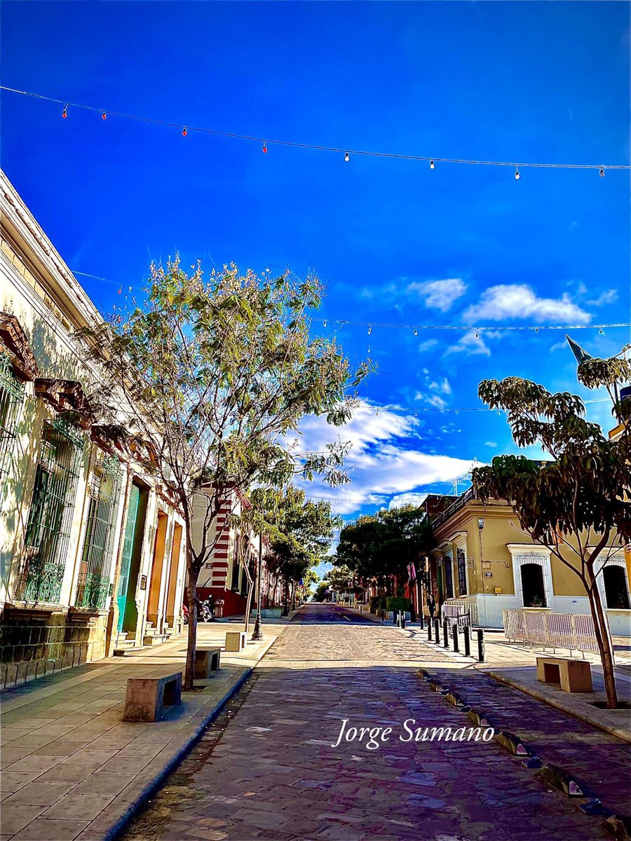 jso_sumano's tweet photo. En este tour fotográfico te mostramos a Oaxaca; sus colores y su patrimonio cultural que distingue a México en todo el mundo. https://t.co/YsEKdCvB0y