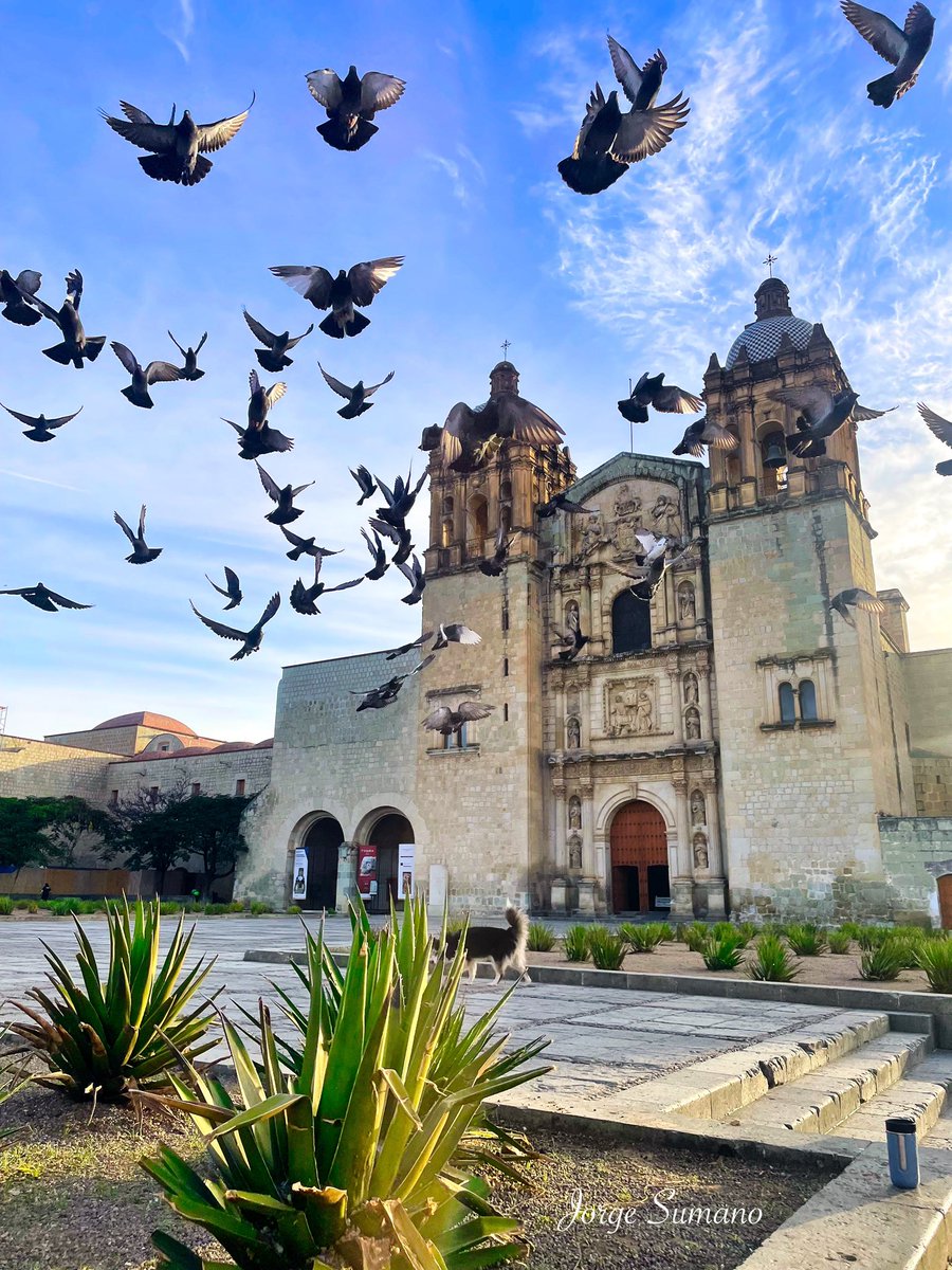 jso_sumano's tweet photo. En este tour fotográfico te mostramos a Oaxaca; sus colores y su patrimonio cultural que distingue a México en todo el mundo. https://t.co/YsEKdCvB0y