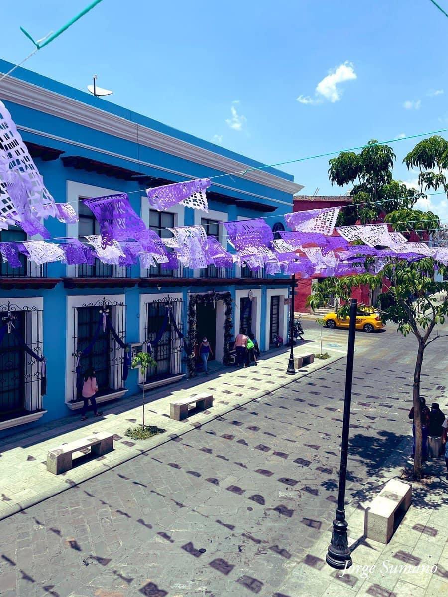 jso_sumano's tweet photo. En este tour fotográfico te mostramos a Oaxaca; sus colores y su patrimonio cultural que distingue a México en todo el mundo. https://t.co/YsEKdCvB0y
