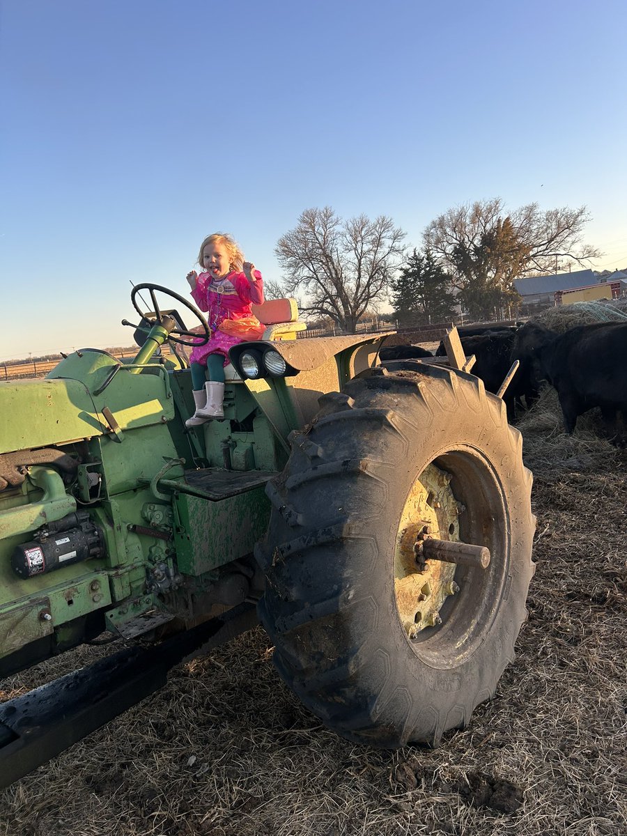 NStensaas's tweet photo. Who doesn’t wear their princess dress to go feed their cows? She is all girl but loves the farm! https://t.co/EbsQmWmJOg
