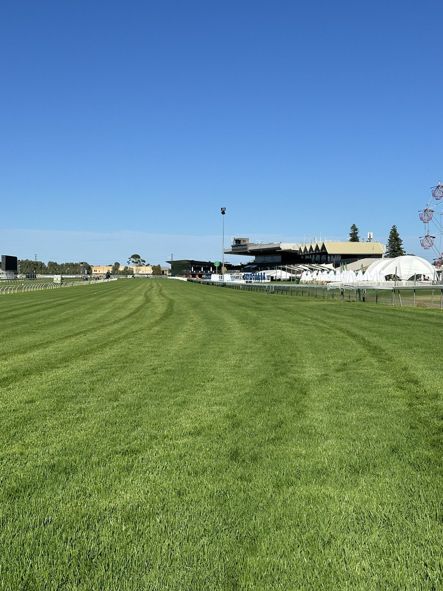RSAStewards's tweet photo. Track Update - Adelaide Cup Day π Morphettville 11/3/24 - Stewards inspected the track at 10.30am and rated it a Soft 5. https://t.co/c1XBjtQKlu