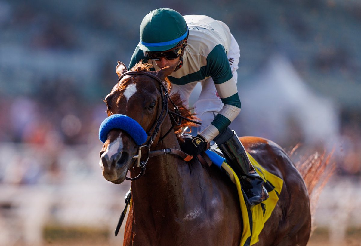 Kinza and @JJHernandezS19 with ease in the Santa Ysabel Stakes @santaanitapark