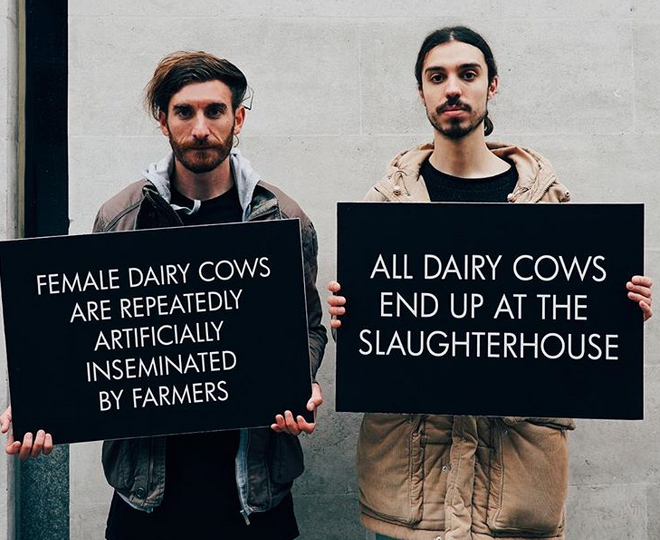 Vegan Future tweet media
