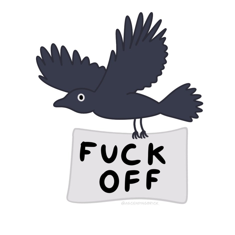 Ascendingbrick's tweet photo. Birds of a feather 🪶 
.
.
.
#comic #webcomic #crow #artistsupport #art #digitalart #relatable #gay https://t.co/YLs6AIDK0s