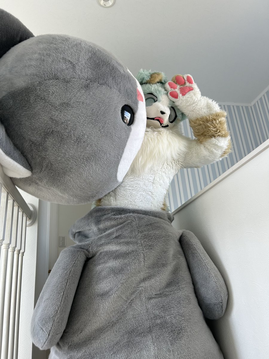 念願の着ぐるみ、生まれて初めて着てみたです꒰*´꒳`*꒱✨

着ぐるみの着心地･･･すっっごい暑いのです💦
全然前も見えないし、息も苦しくて動きにくくて…ビックリしちゃったですー😭💦
これ着て何分もパフォーマンスするなんて･･･ぜったいムリなのです～( ; ›ω‹ )💦笑

#FursuitEveryday