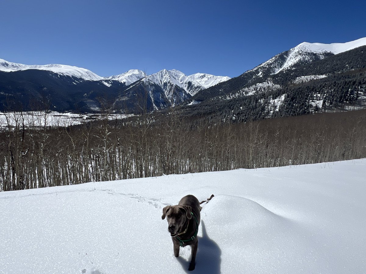 Frank’s “decisions” will be  revealed soon as the snow melt.  A new season is coming