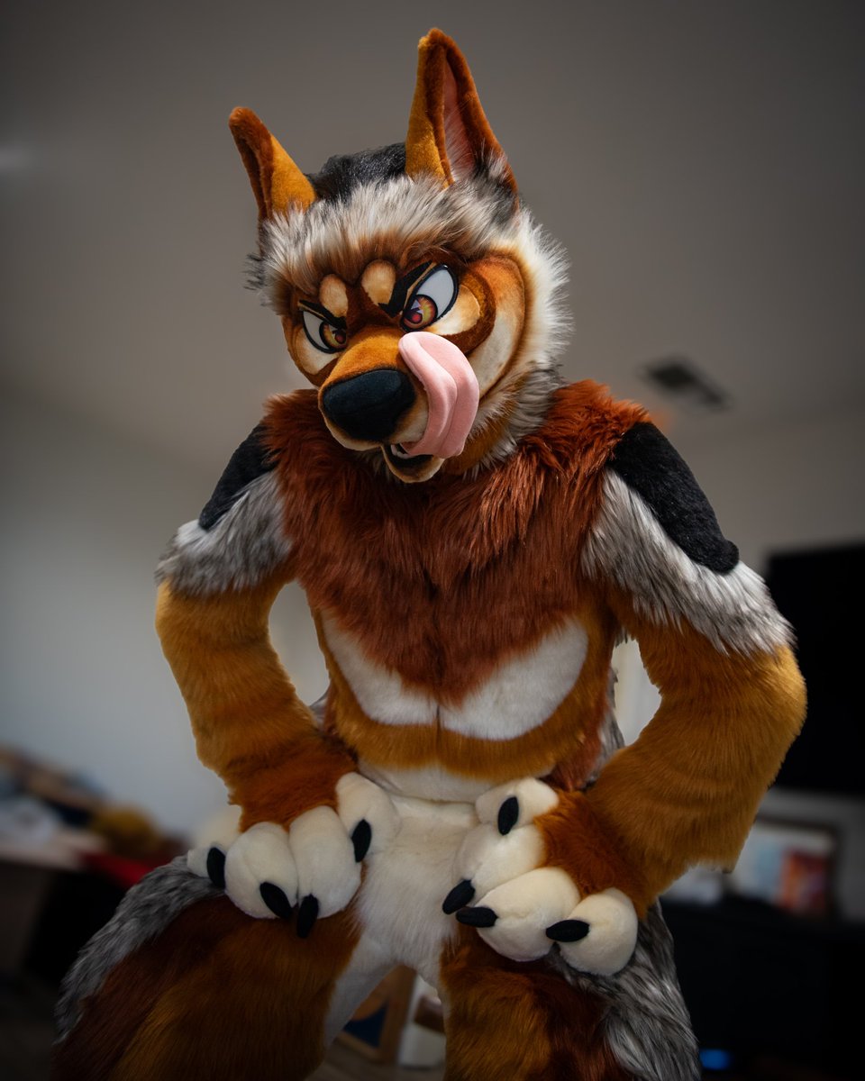 RusticYote's tweet image. I know its a bit late but somethings different here. Happy late #FursuitFriday 

🪡@serestudios