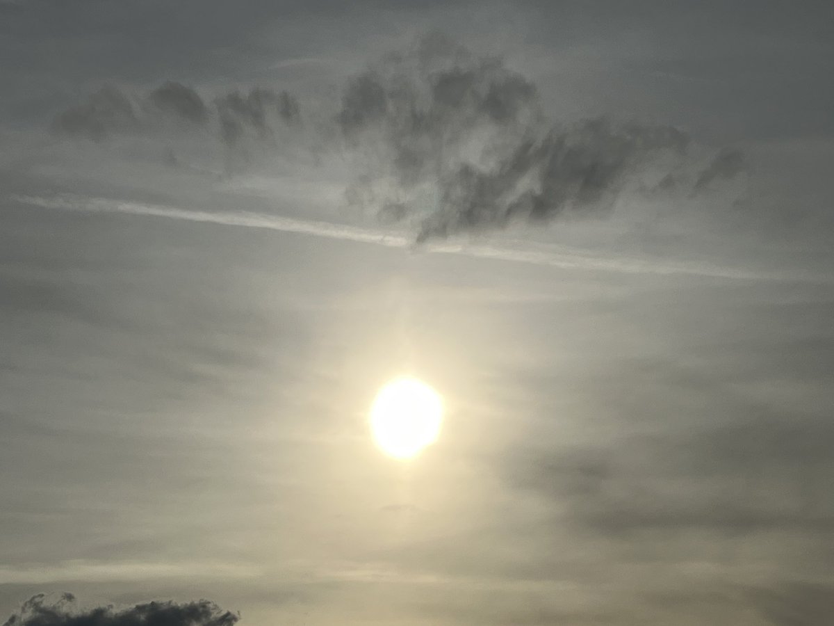 MeatwithBeef's tweet image. Beautiful skies + some spraying