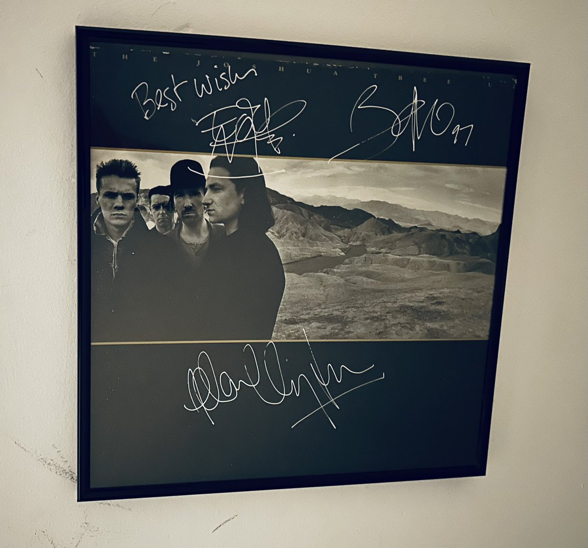 Robbie_J's tweet image. Happy 37th to #TheJoshuaTree