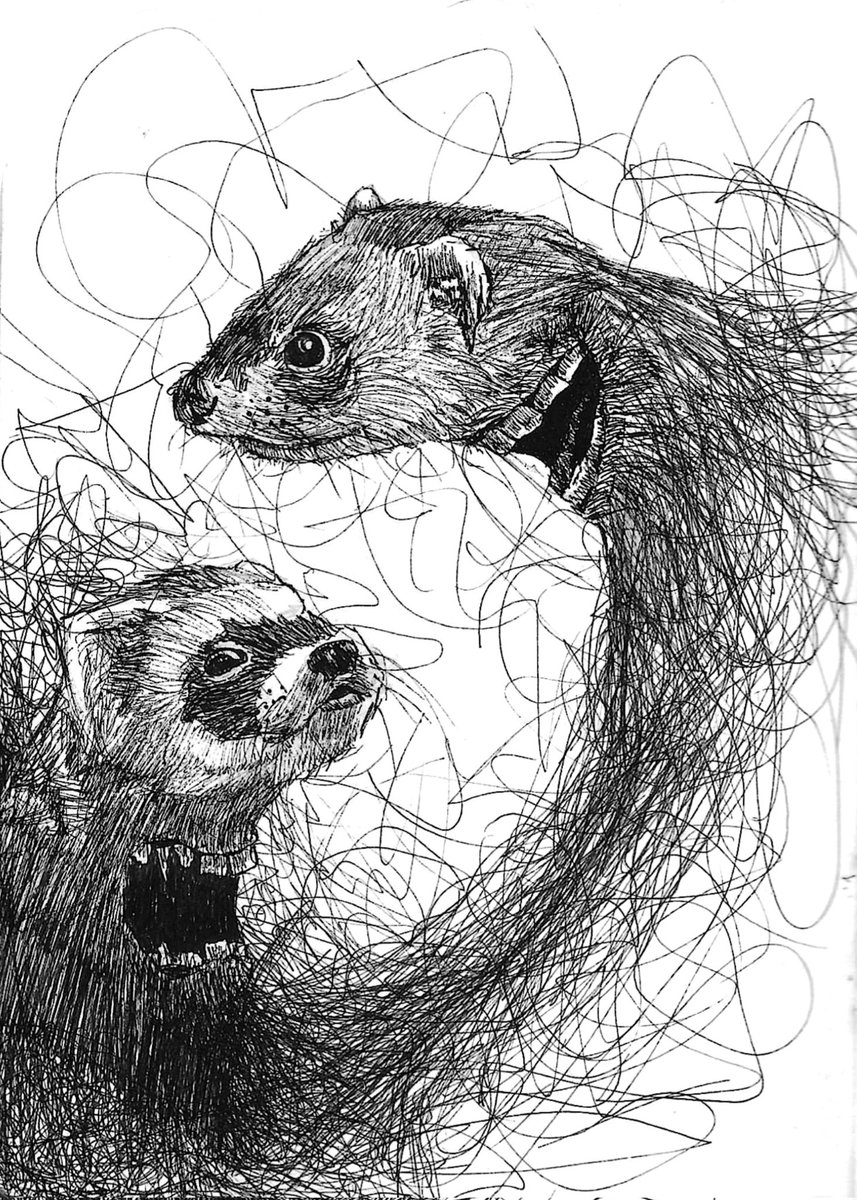 Me acabo de enterar de que mi impresora tiene la capacidad de digitalizar mierdas
Que hermoso es